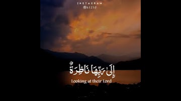 (كَلَّا بَلْ تُحِبُّونَ الْعَاجِلَةَ) القارئ علي عبدالسلام اليوسف ماشاءلله صوته يفطر الحجر