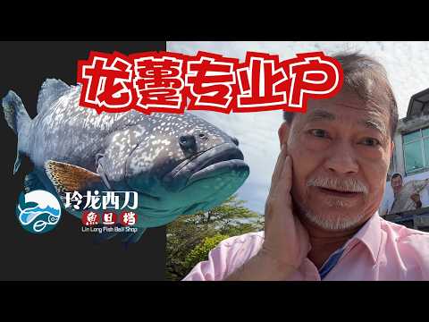 我們就是野生龍躉專業戶 @燦神龍場 #廖偉雄 #ah chain # Liu wai hung #阿燦 #馬來西亞 #香港 #亞燦米 #吉隆坡  #玲龍西刀 #燦神叉燒 #魚旦檔