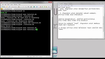 Tutorial Basic Bash Scripting | Praktikum Sistem Operasi Modul 7