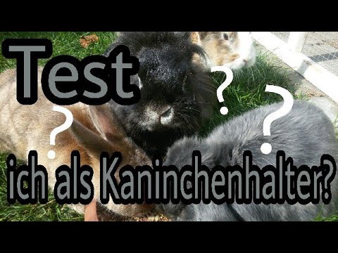 Bin Ich Zu Anhänglich Test Bin Ich Zu Anhänglich Test