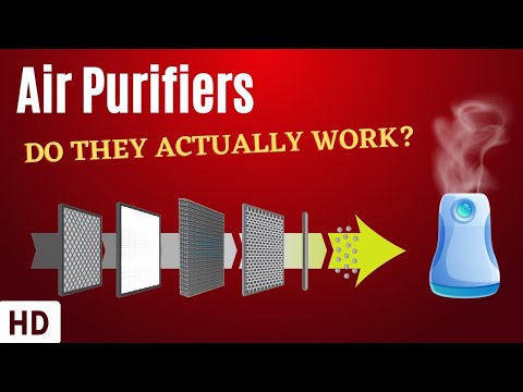 Air Purifiers: Do They Actually Work?