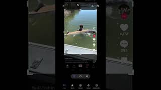bro caught a monster fish