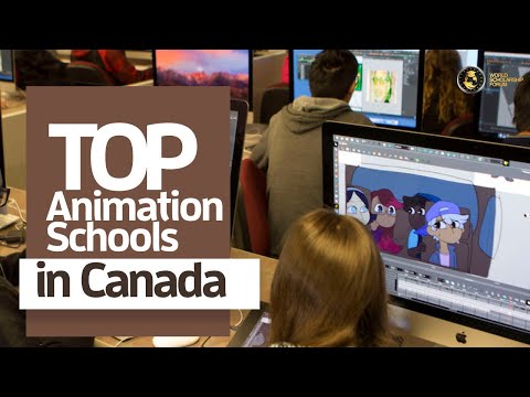 Top 5 Animation Schools in Canada 2022