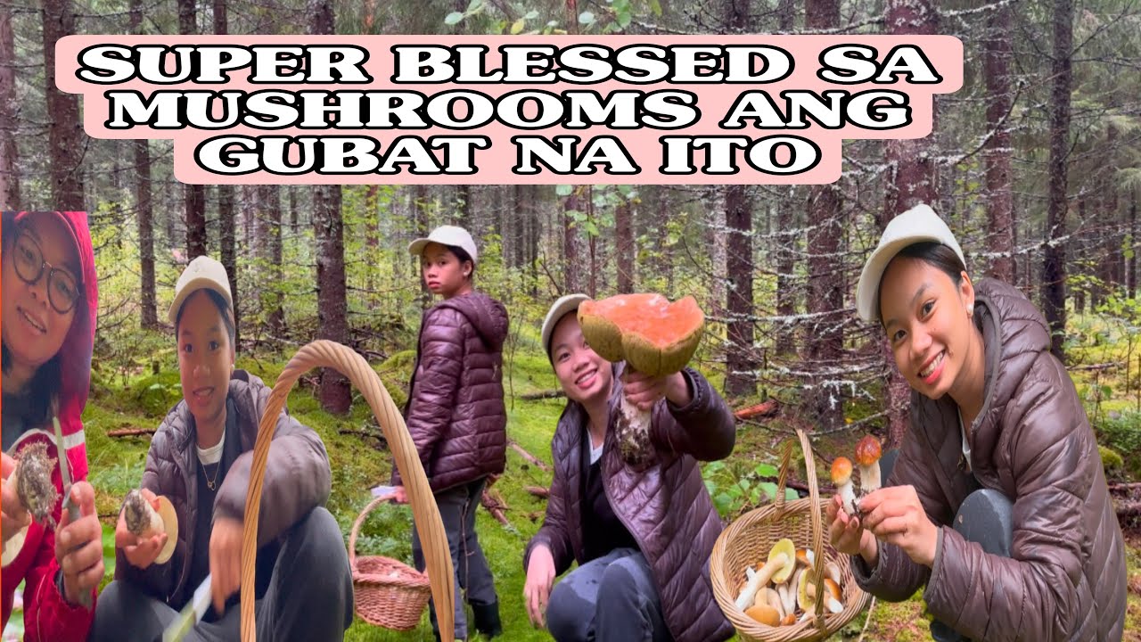 SUPER BLESSED SA MUSHROOMS ANG GUBAT NA ITO !! Foraging mushrooms with my daughter in FINLAND🇫🇮