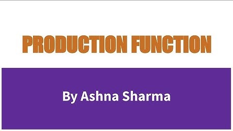 Production Function