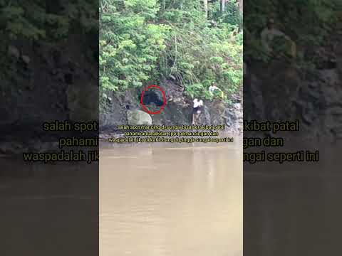 pahami sekitar lokasi pemancingan‼️salah spot mancing di sungai bisa berbahaya,waspadalah#shorts