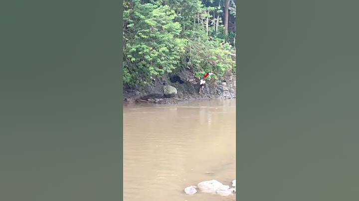 pahami sekitar lokasi pemancingan‼️salah spot mancing di sungai bisa berbahaya,waspadalah#shorts