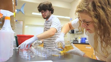 Georgia Tech professor Raquel Lieberman awarded Pew