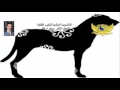 الأبراج الصينية _برج الكلب