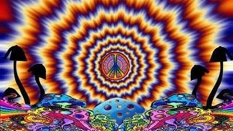 Hawkwind Orgone Accumulator