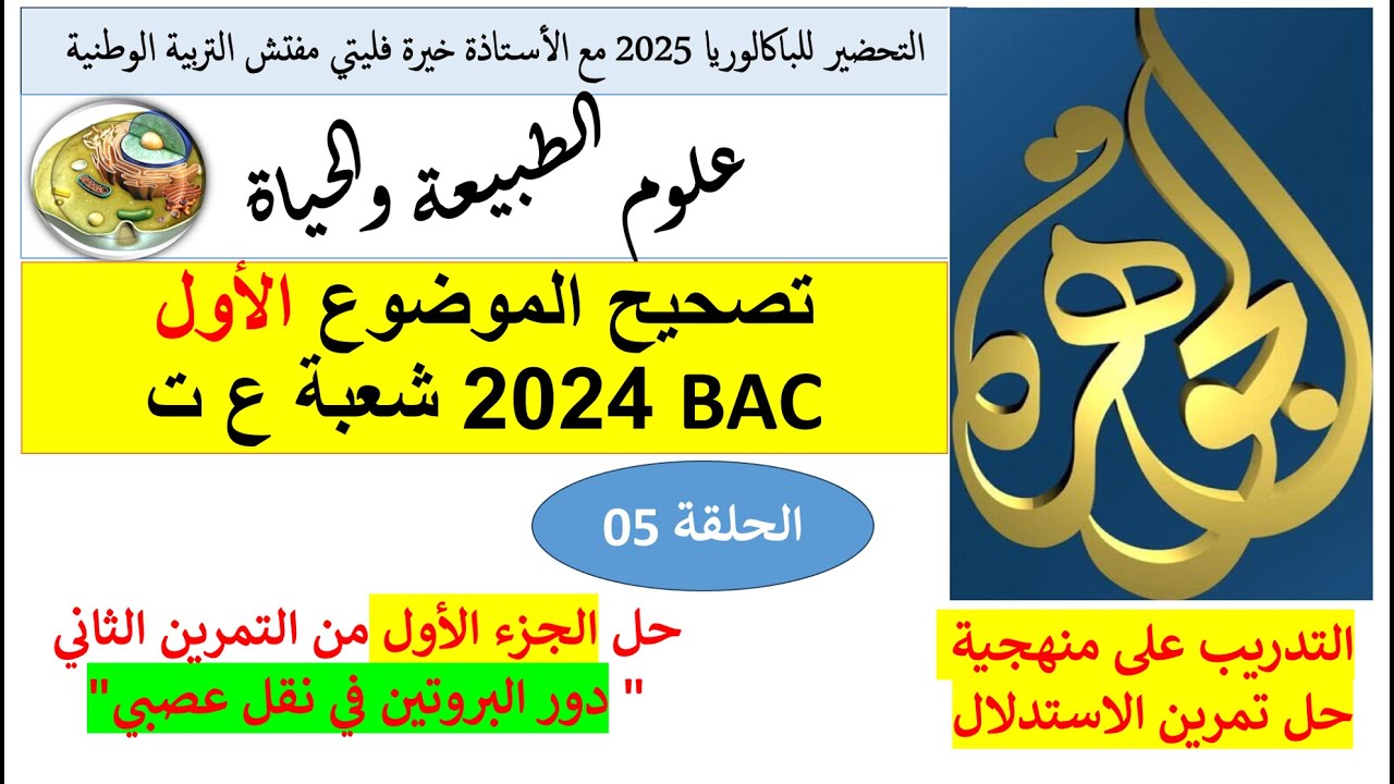 تصحيح الجزء الاول من تمرين الصرع باك 2024