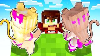 AS GATINHAS se APAIXONARAM por MIM no Minecraft