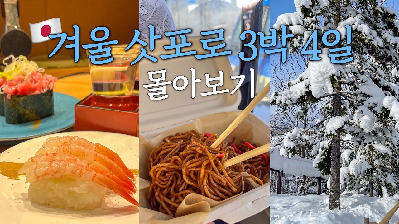나홀로 삿포로 여행 vlog 몰아보기 🇯🇵 3박 4일 여행 총 경비, 숙소, 투어 정보 공유❄️ 삿포로 시내부터 오타루 비에이까지 혼자 여행