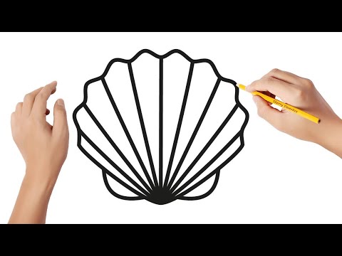 Vídeo: Como Desenhar Uma Concha Do Mar