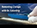 Repairing a Scrape with Dr. Colorchip