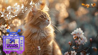 Calming Music for Cats | Make Your Cat Happy, Relaxation, Deep Sleep | Music Therapy for Cats #8
