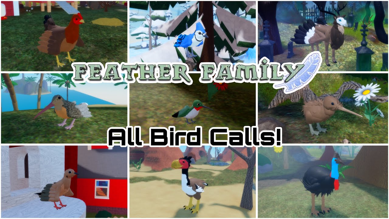All Feather Family Bird Calls (May 2024) - YouTube