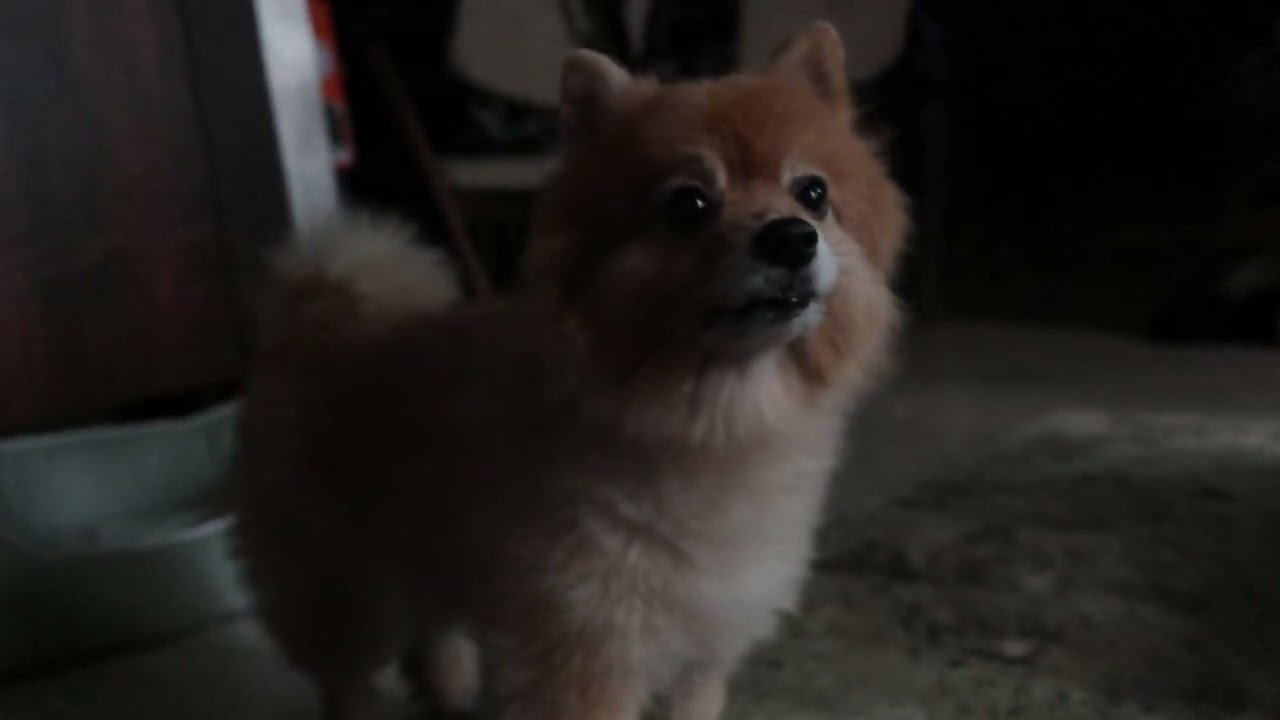 It’s not dinner yet!