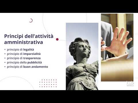 Video: Che cos'è l'attività C#?