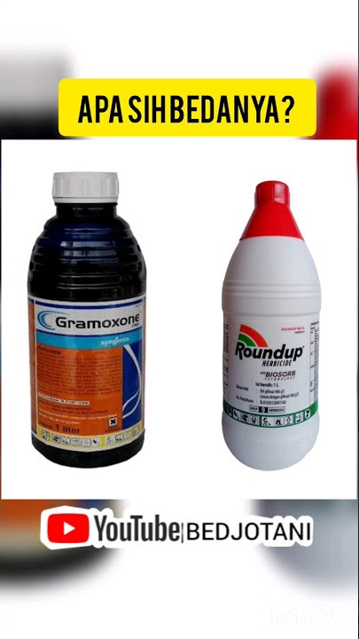 perbedaan gramoxone vs roundup#fypシ #viral #petaniindonesiamaju