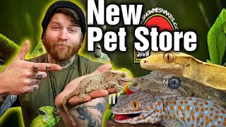 What It Takes To Open A Reptile Pet Store In 2023