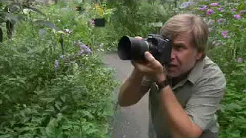 Macro Photography Tips with Roy Toft