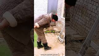 تضحية الكلب التي أبكت الملايين! ✨