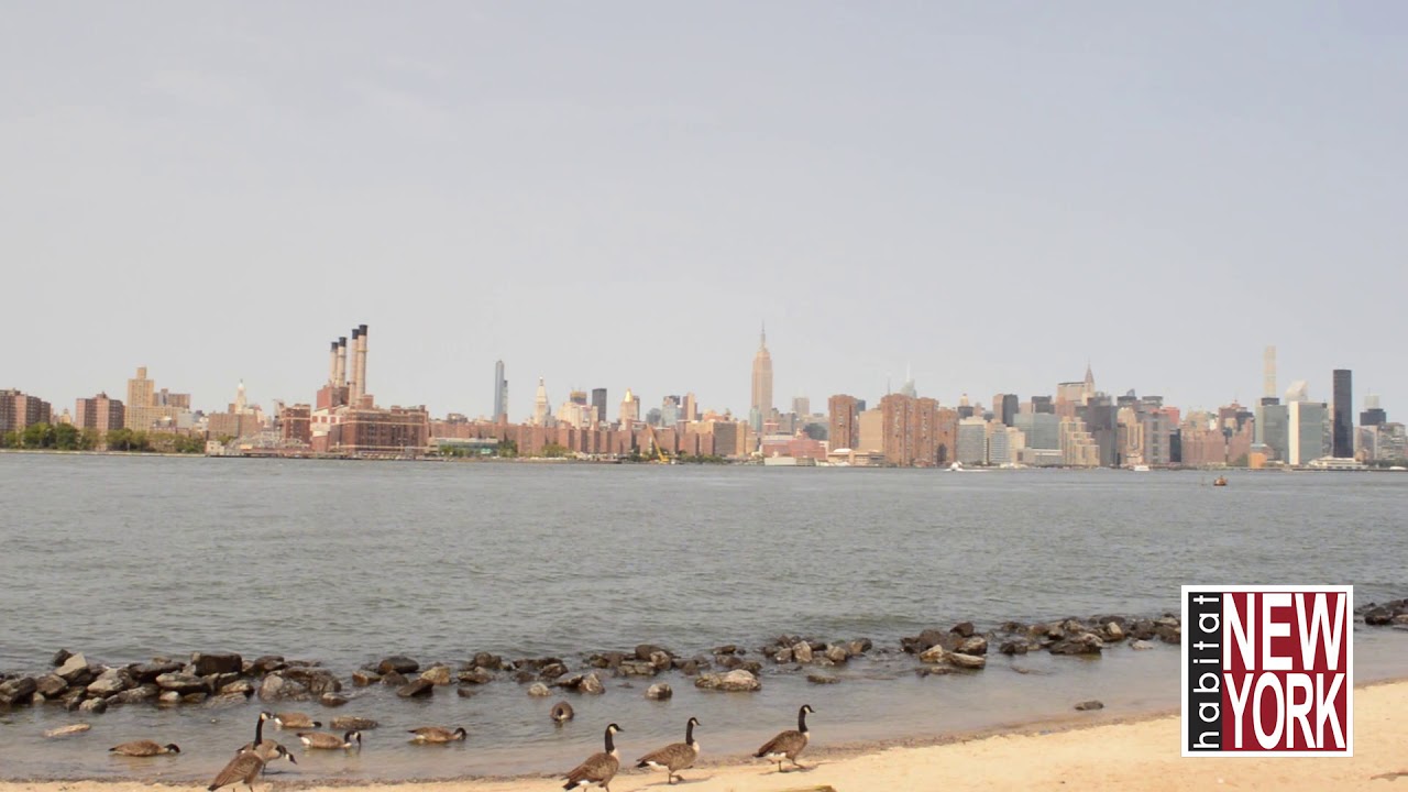 Video Tour of Williamsburg, Brooklyn, New York YouTube