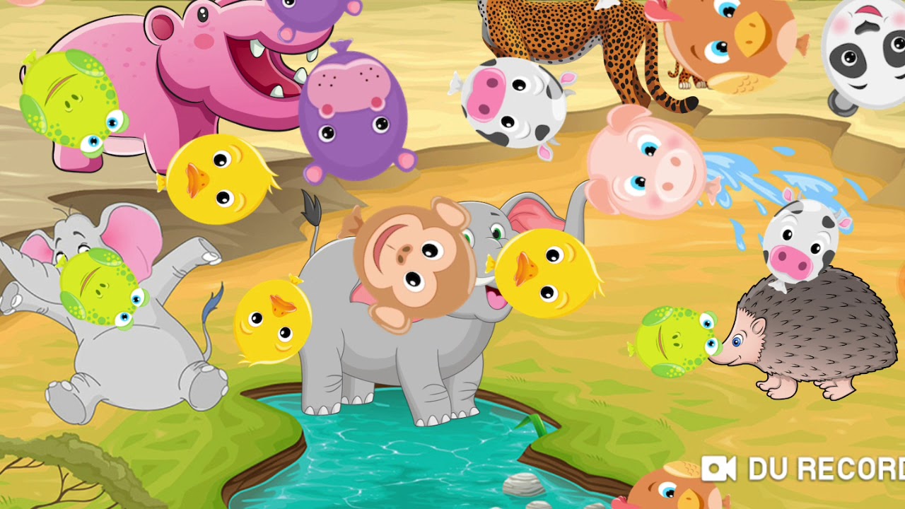 Funny Animals Puzzle for Kids YouTube