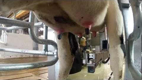 MR-S1 Milking Robot (Nederlands)