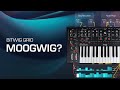 This Grid Patch Recreates the Moog Messenger Sequencer