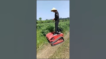 Máy cắt cỏ tự động, năng suất bằng 10 lao động phổ thông, giá thành chỉ trên dưới 20 triệu thôi ạ!