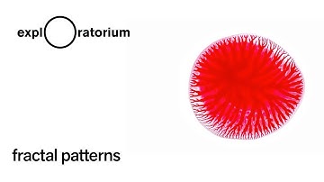 Fractal Patterns - Science Snack Activity
