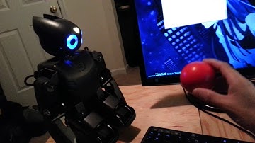 Darwin Op Ball Tracking tutorial