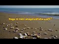 Huyu Ni Nani Catholic Song Lyrics Gospel Gospellyrics Lyrics Lyricvideo Swahiligospel Viral