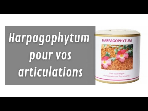 L’harpagophytum apporte naturellement des bienfaits à vos articulations.