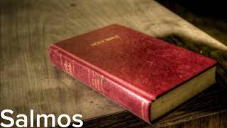Bíblia em Áudio em Português - Salmos (COMPLETO) - Almeida Revista e Atualizada (ARA)
