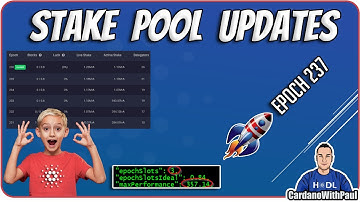Cardano Stake Pool Update | BIG upcoming epoch | 0% Fixed Fee