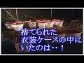 【衝撃】暗闇の中に置かれた奇妙な数のケース・・・。その中には驚きのものが入っていた!【心苦しくなる話】