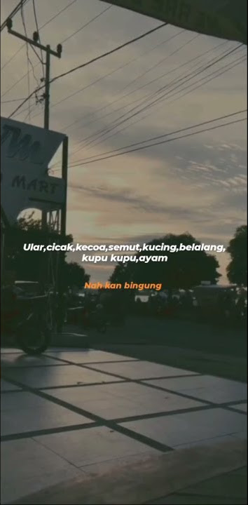 STORY wa terbaru keren 30 detik lagu pota pota