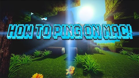 2 Ways To Ping on Mac (Terminal And Network Utility)