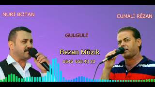 Ali Rezan - Gulguli
