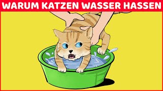Warum Katzen Wasser Hassen (Und 9 Andere Seltsame Verhalten Erklärt) by DIE WUNDERSAMEN 1,457 views 1 year ago 8 minutes, 45 seconds
