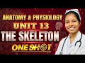The Skeleton System One Shot | Unit 13 | Most Imp Questions | GNM 1st Year | Anatomy and Physiology