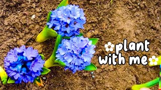 ☾✿planting flowers, fruits, and veggies✿☾ by Sandra Vlogz 74 views 2 months ago 2 minutes