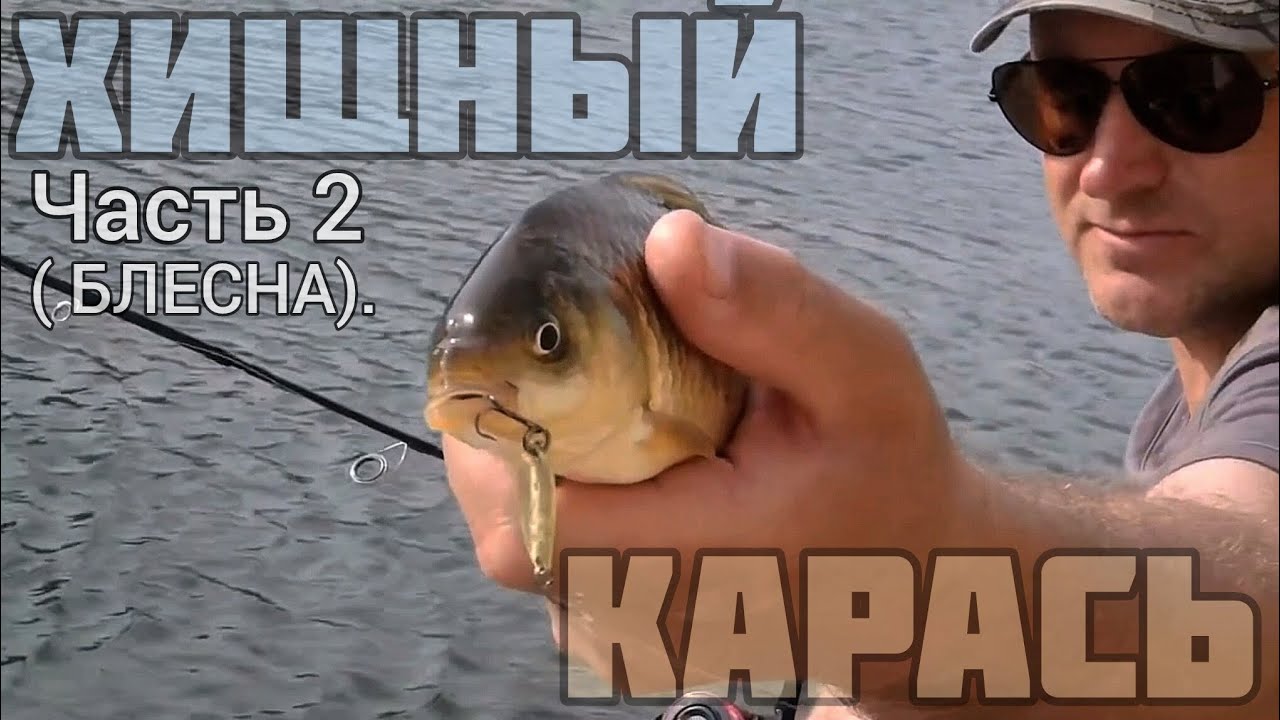 ХИЩНЫЙ КАРАСЬ, Часть 2 