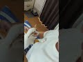 猫に抱っこと言うと……?