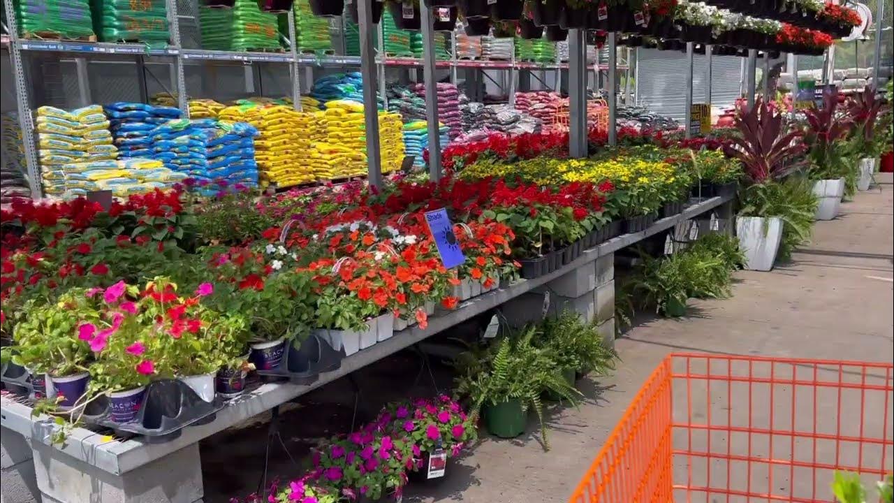 Home Depot Mid Summer Display of Plants/ Proven Winners Restock at Home