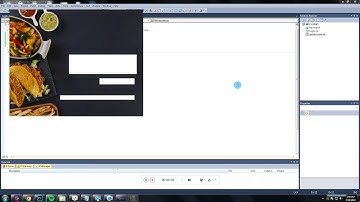 Visual Basic 2010 Programming - Canteen Ordering System Part 1