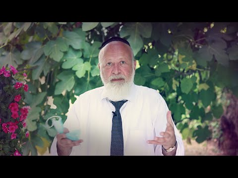 פרשת בהעלותך | בלמידה מרחוק להרגיש קרוב